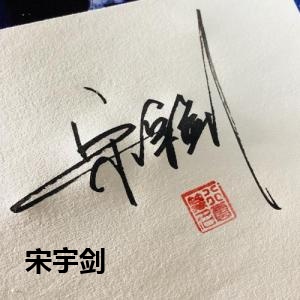 宋宇剑的签名设计