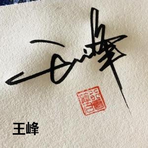王峰的签名设计