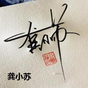 龚小苏的签名设计