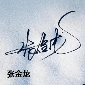 张金龙