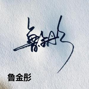 鲁金彤