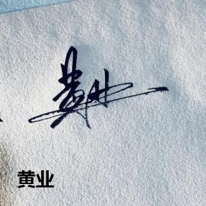 签名设计,免费签名设计,手写LOGO设计,手写招牌设计,手写文字设计,原创手写签名设计,武将爱手写,手写签名设计 - 爱手写